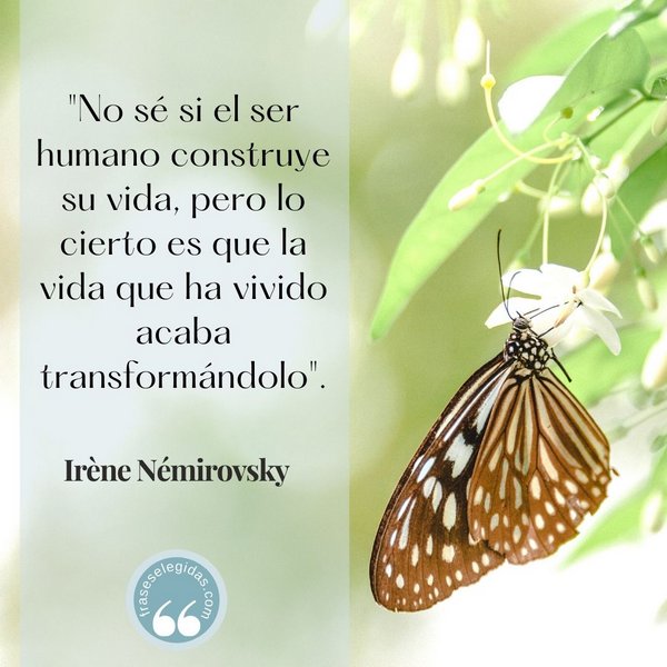 Frase de Irène Némirovsky: No sé si el ser humano construye su vida, pero lo cierto es que la vida que ha vivido acaba transformándolo.