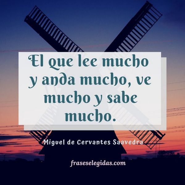 Frase de Miguel de Cervantes Saavedra: El que lee mucho y anda mucho, ve mucho y sabe mucho.