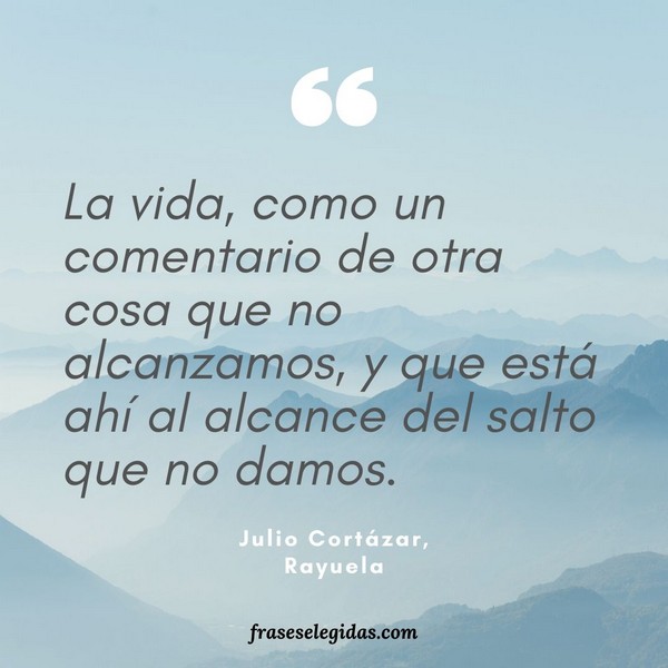 Frase de Julio Cortázar: La vida, como un comentario de otra cosa que no alcanzamos, y que está ahí al alcance del salto que no damos.