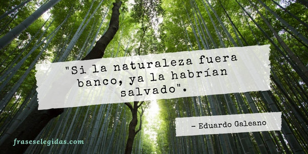 Frase de Eduardo Galeano: Si la naturaleza fuera banco, ya la habrían salvado.
